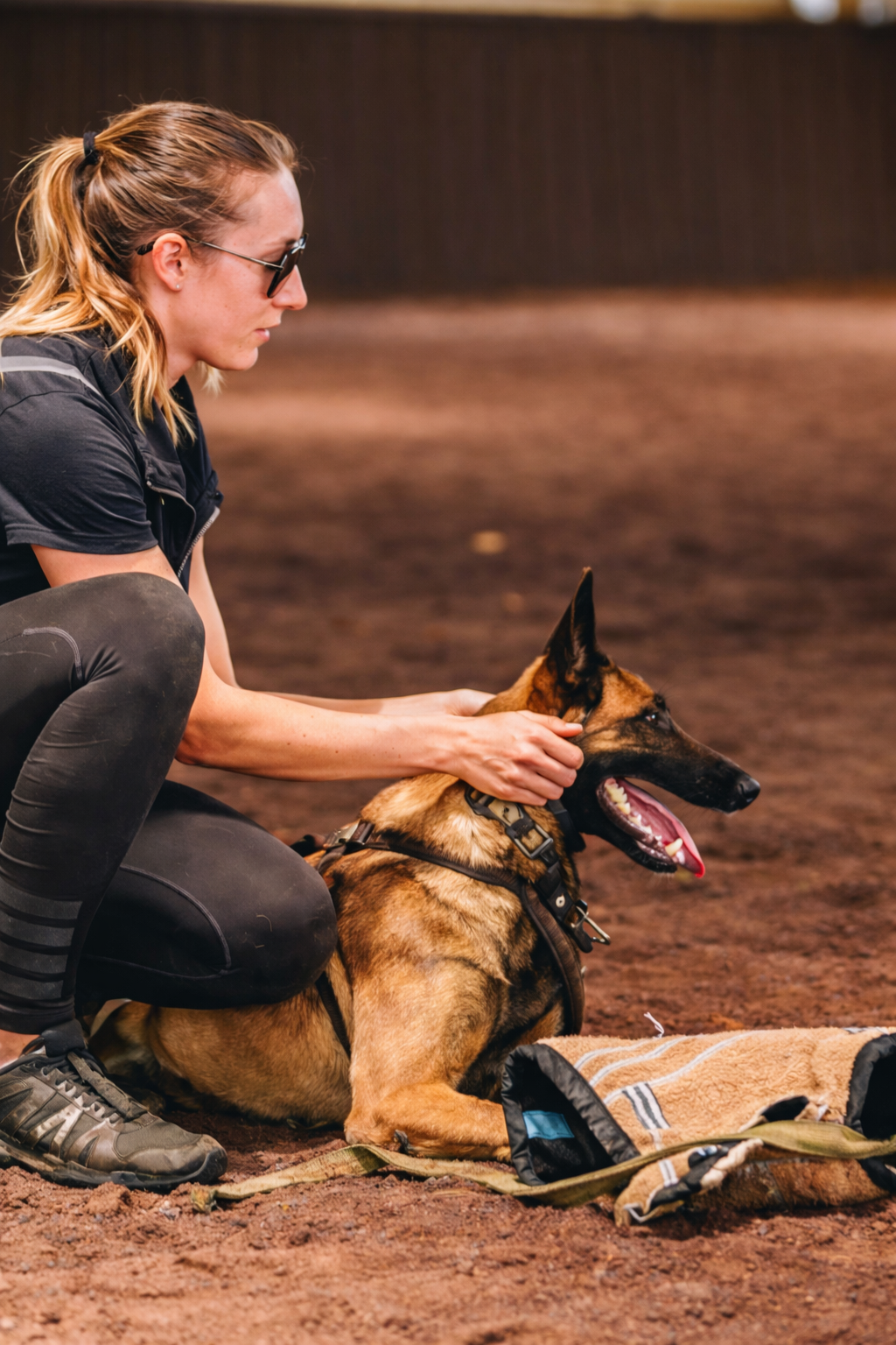 Dog training session